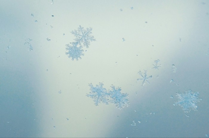 ������ ��������