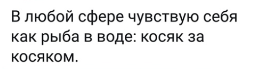 Я в этом шарю - Картинка с текстом, Юмор, Из сети, ВКонтакте