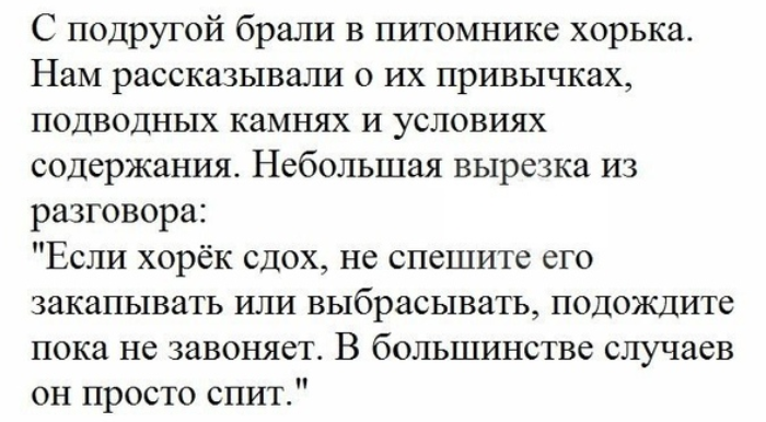 Как- то так 291... - Форум, Скриншот, Подборка, ВКонтакте, Чушь, Как-То так, Staruxa111, Длиннопост