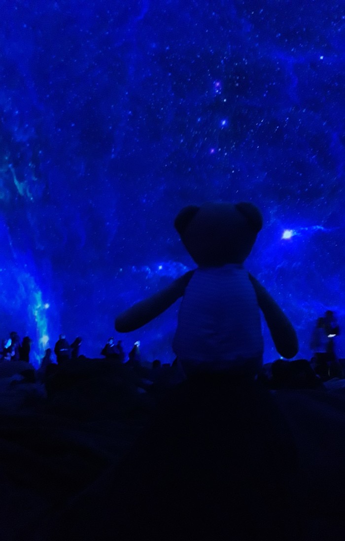 Teddy bear and the universe - Teddy bear, 