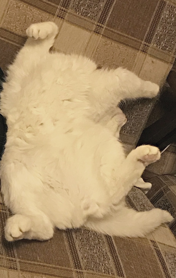 �������, � ��� ��� ��������.