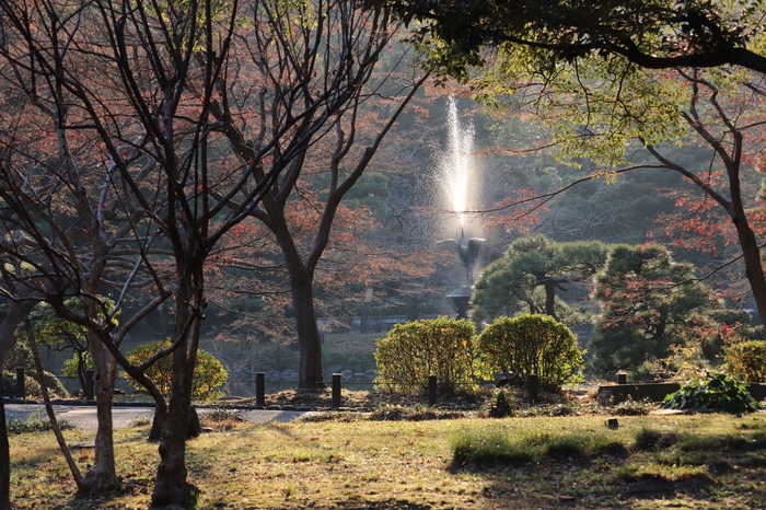 Tokyo gardens. - My, The photo, Beginning photographer, Nature, The park, Japan, Tokyo