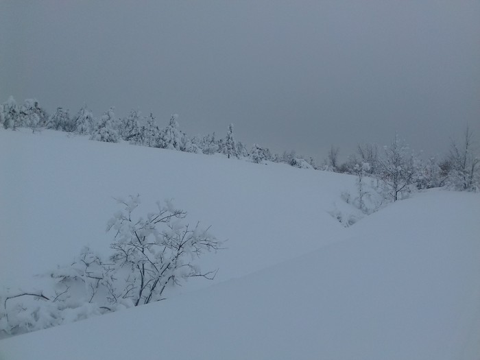 ������� �����