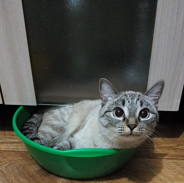 Спальное место
