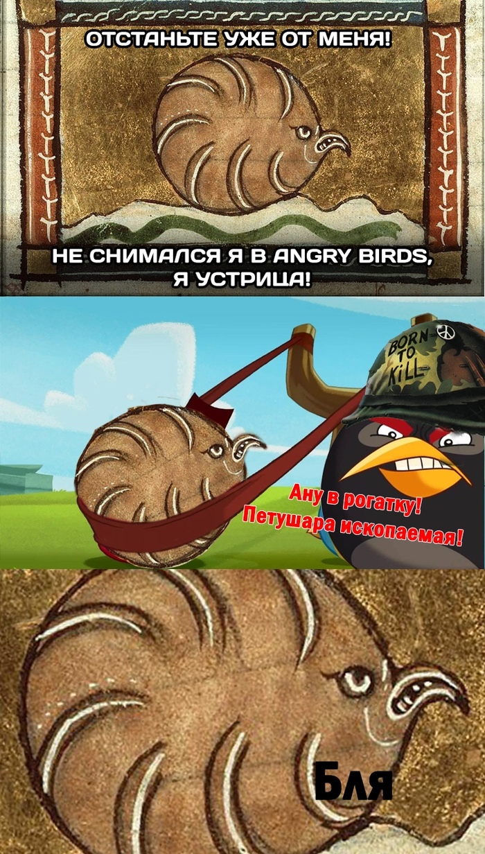 Angry birds in the Middle Ages - Angry Birds, Suffering middle ages