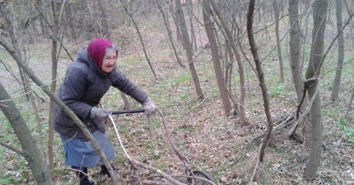 Собрали ли. Мемы о сборе валежника. Валежник пилой. Ручная пила и валежник. Распил валежника в лесу 2019 бензопилой.