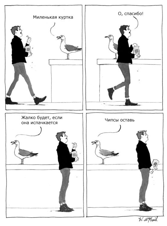 Racket - Comics, Birds, Racket, Seagulls