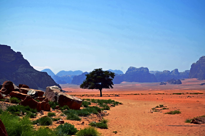 The beautiful desert of Wadi Rum - My, Travels, Tourism, Interesting places, Video, Romantic, Longpost, Romance