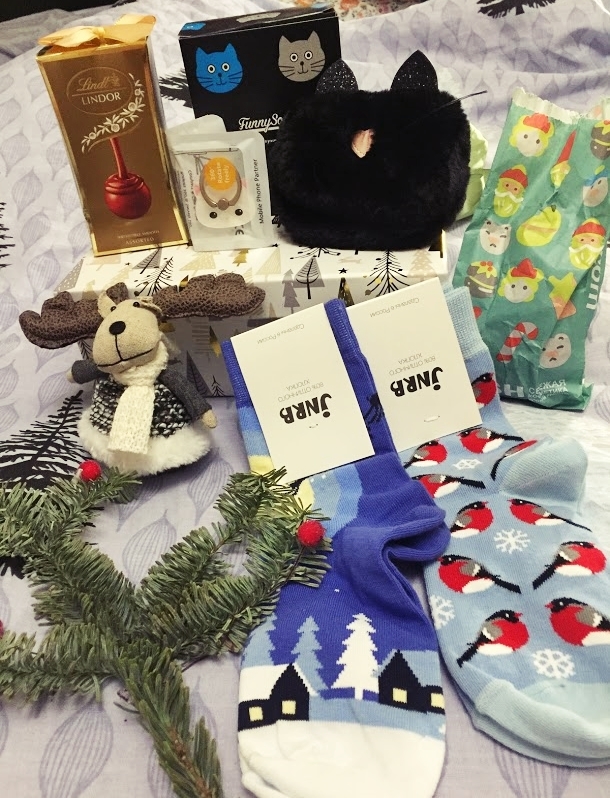 2 gifts: from Moscow and Abakan to Novosibirsk - My, Gift exchange report, Gift exchange, New Year's gift exchange, Longpost, Presents, Secret Santa, cat