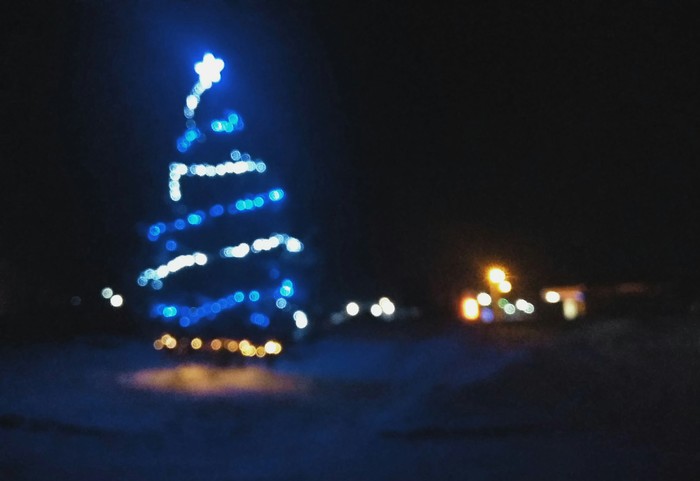 Herringbone - My, New Year, Christmas trees, Lights, Night, Winter, The photo, Bokeh