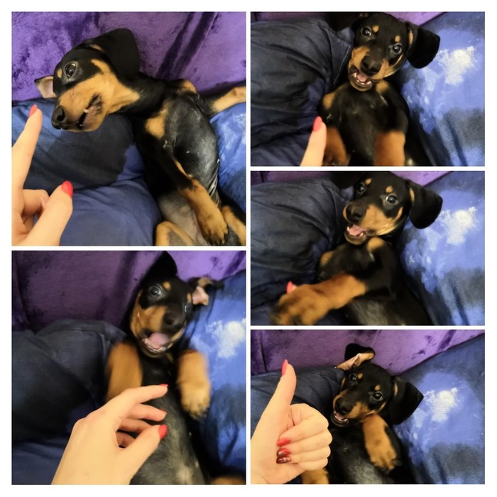 ����, �������� �� ������� ������