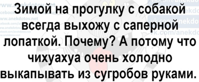 Как- то так 296... - Форум, Скриншот, Подборка, Подслушано, Чушь, Как-То так, Staruxa111, Длиннопост