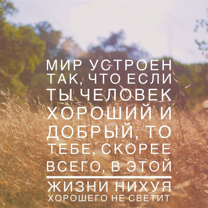 � ���� ���� 20 ��� ����� ��� ������