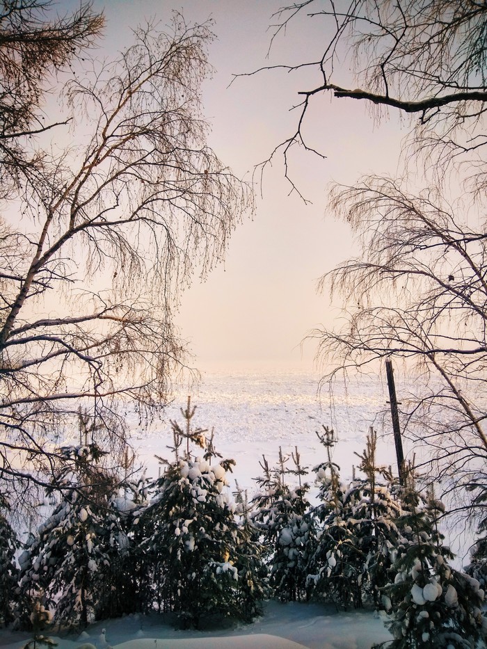 Yenisei in winter - My, Winter, Yenisei, Tree, Xiaomi Redmi Note 4X, Vsco, Longpost
