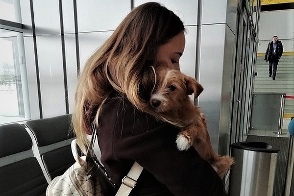 Ural student saved a puppy that almost became a dinner for the Chinese - Animals, , Life stories, Dog, Dogs and people, Longpost