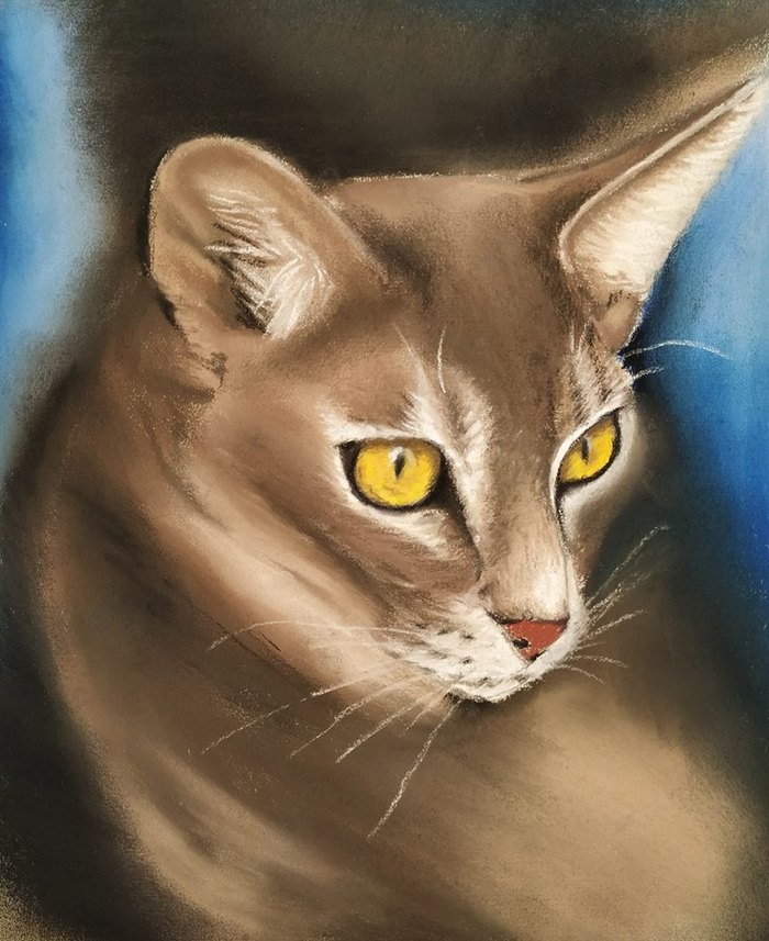 Cat2 - My, Pastel pencils, Pastel, Drawing, cat, Animalistics, Animals