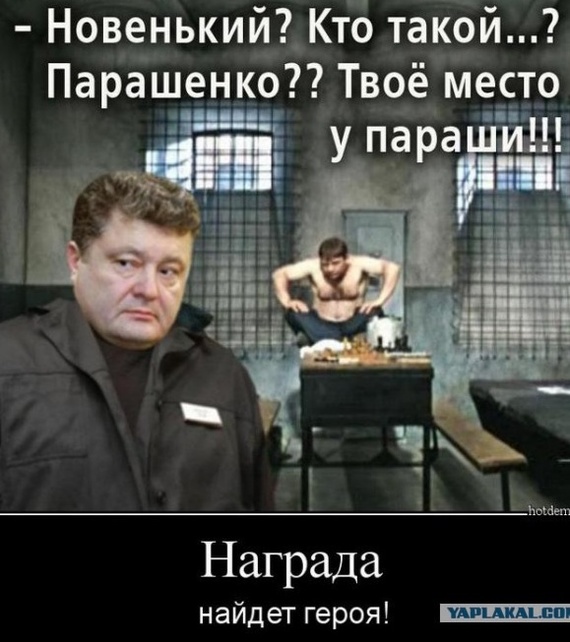 Your place, dad, is at the bucket - Petro Poroshenko, Politics, Prison