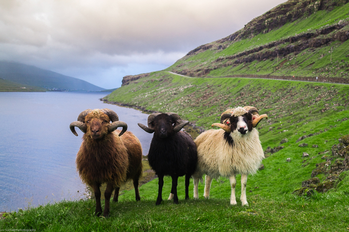 Путешествие автостопом по Фарерским островам. Путешествия, Длиннопост, Автостоп, Фарерские острова, Фареры, Горы