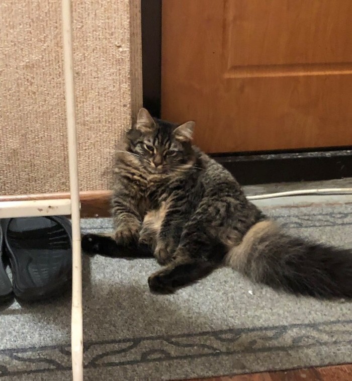 �������� �������