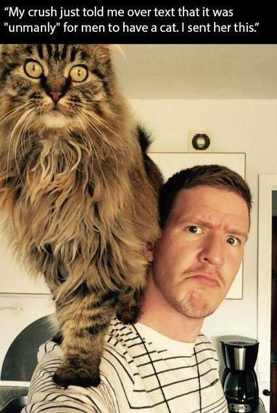 My girlfriend wrote that having a cat is not a man's thing. I sent her this. - cat, Maine Coon, Reddit