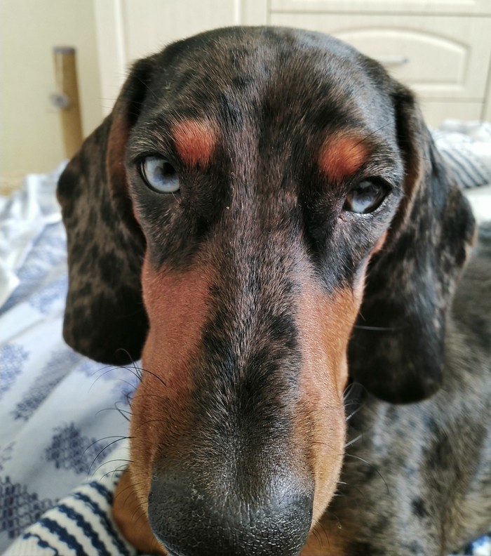 �������,  ������� �� ���� ����� � �����???