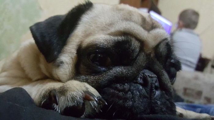 И мой бок тоже)))