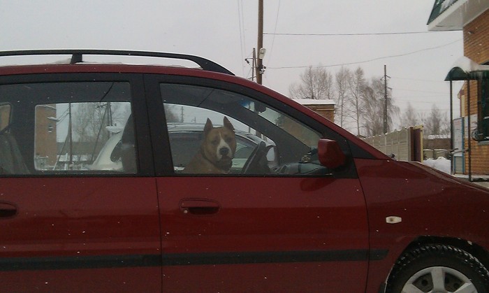 � ������ ������ �������? �� ��������