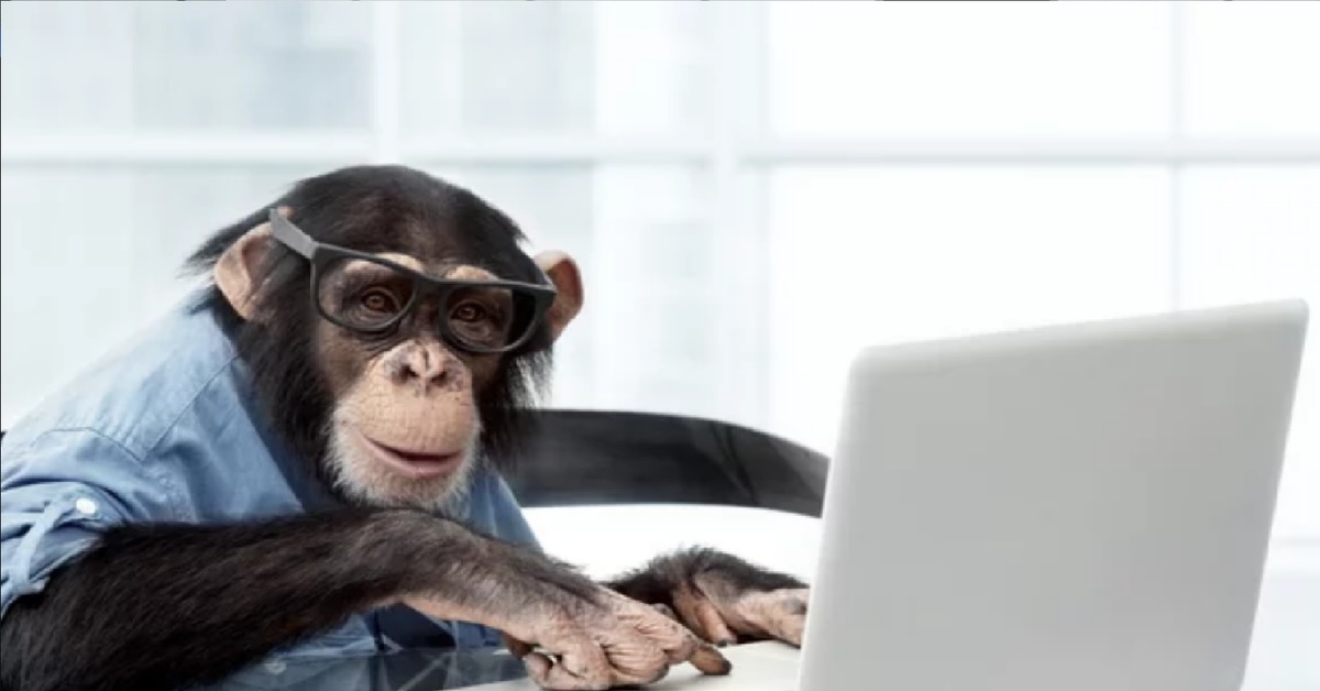 Менеджер и обезьяны. Обезьяна за компом. Обезьяна в офисе. Обезьяна с компьютером. Обезьяна с ноутбуком.