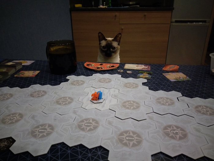 Когда нет друзей, а настолочки любишь.