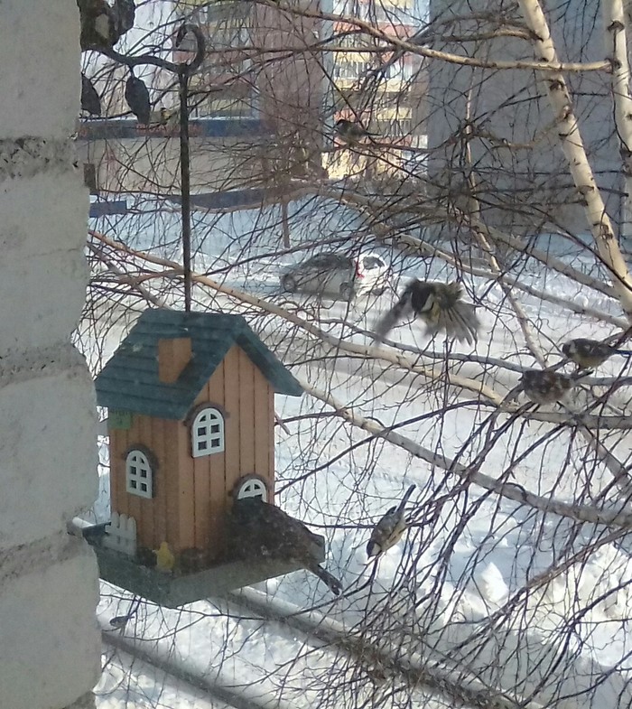 Не забываем о птичках.