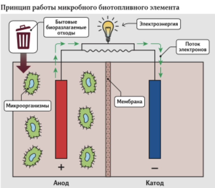 How to get electricity from garbage in space - Electricity, Garbage, Ecology, Space, Waste recycling, Waste recycling