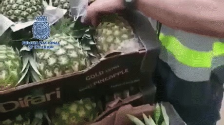 Перевозка запрещенных веществ