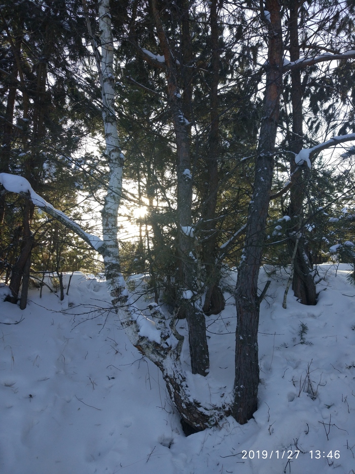 �������� ������