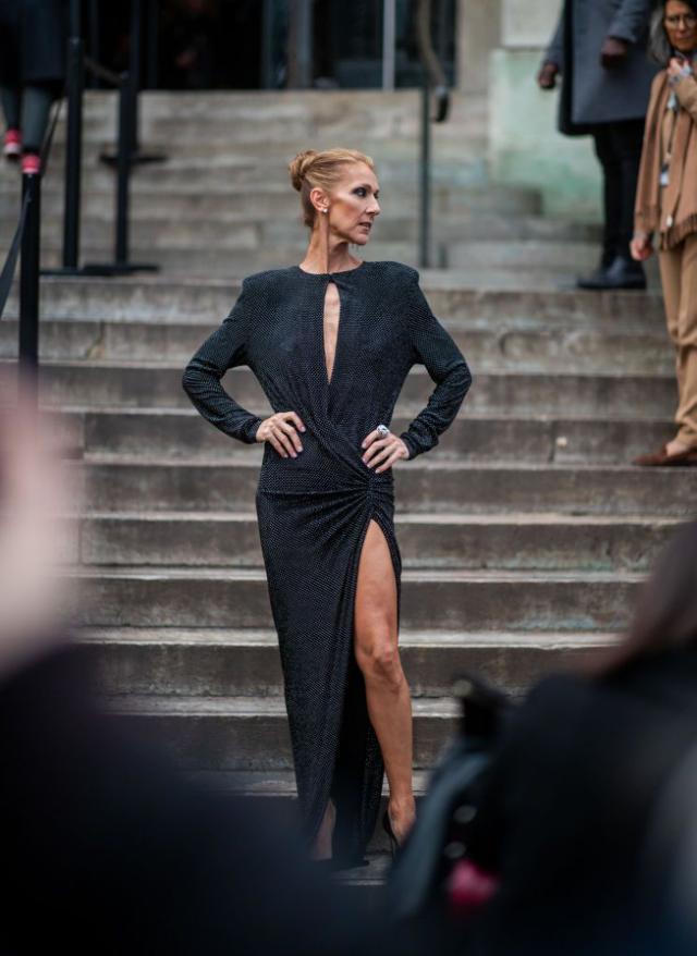 Celine Dion at a haute couture show - Celine Dion, Female, Longpost, Age, Fashion show, beauty, Women