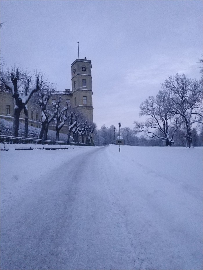 Гатчинский дворец зимой