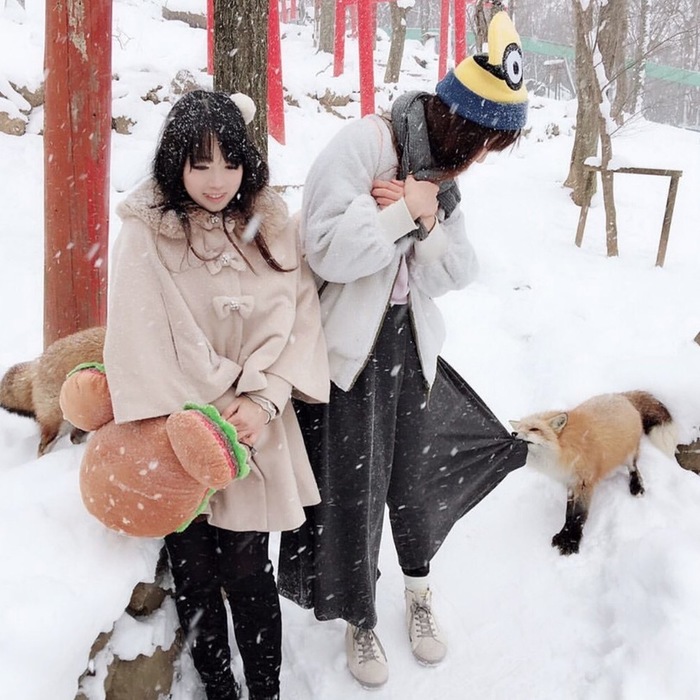 I won't let you in - Fox Village, Fox, Japan