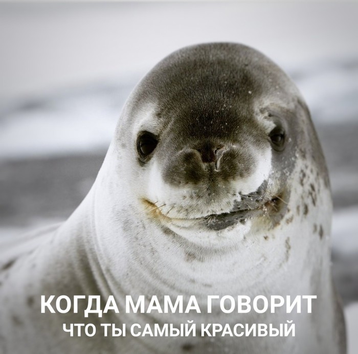 ���� �� �������