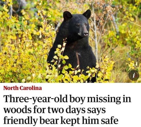 North Carolina is the new Russia - The Bears, news, Interesting, Translation, North Carolina