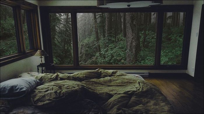 Bedroom - House, Forest, Bedroom, Bed