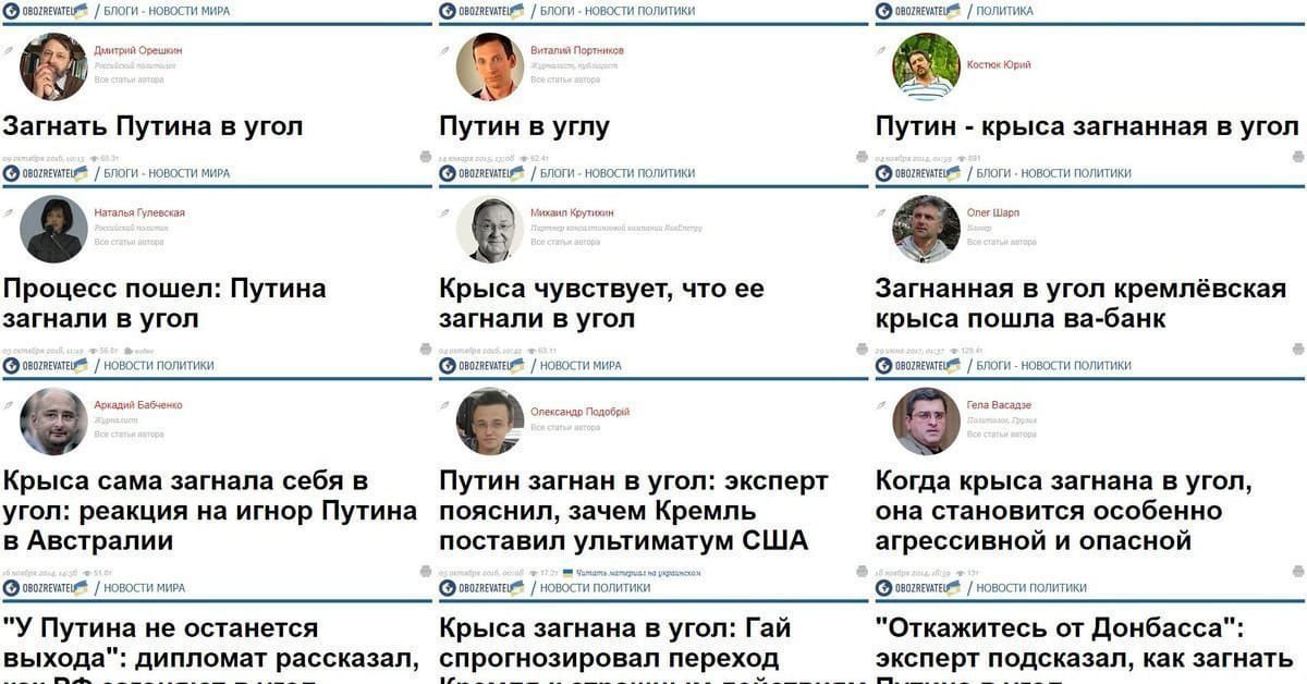 Крыс загнали в угол