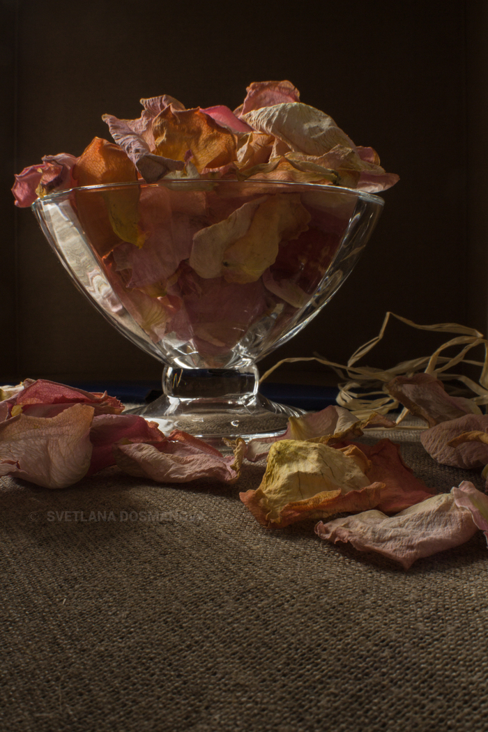 Petals - My, Beginning photographer, Hobby, Creation