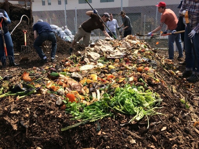 Как перестать работать на мусорный бак: - Food waste, Мусор, Продукты, Экология, Переработка мусора, Длиннопост