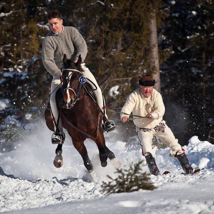 Age is not a hindrance - Horses, Skijoring, Fun, Winter