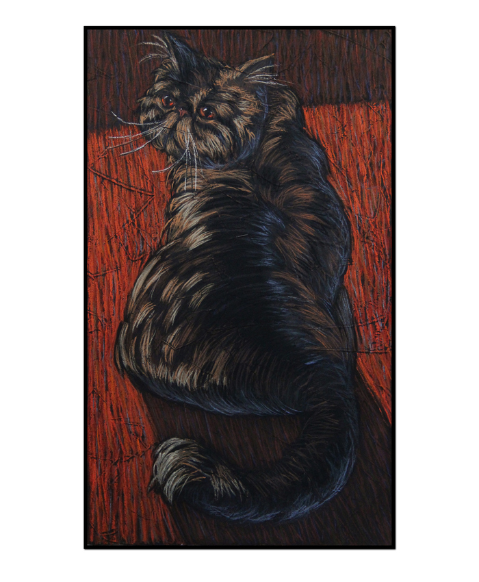 Pastel drawing of the cat Marsik - My, cat, Pastel, Exot, Animals, Drawing, Dry pastel, Drawing process, Animalistics, Video