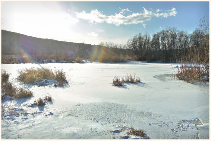 sunny day - My, The photo, Day, Nature, Winter