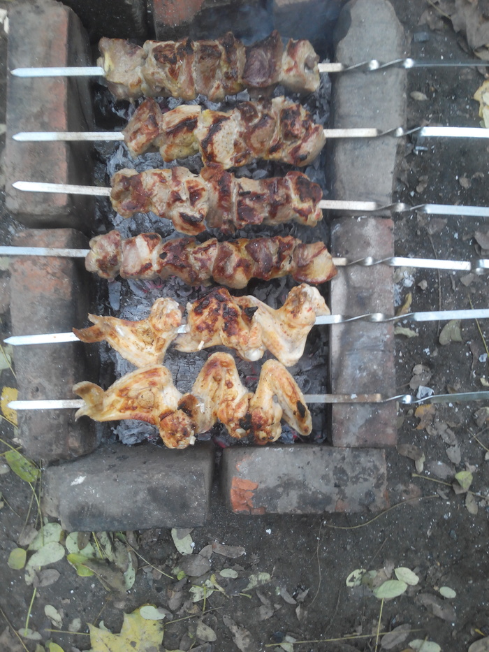 Hurry already!!! - My, Shashlik, Spring, Relaxation