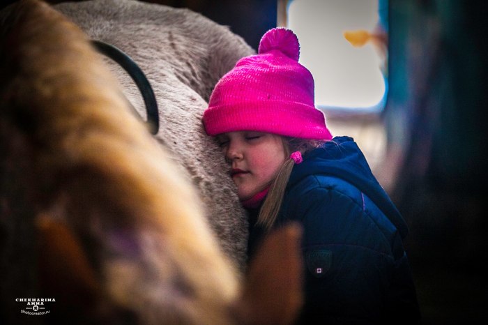 В избушке | Пикабу