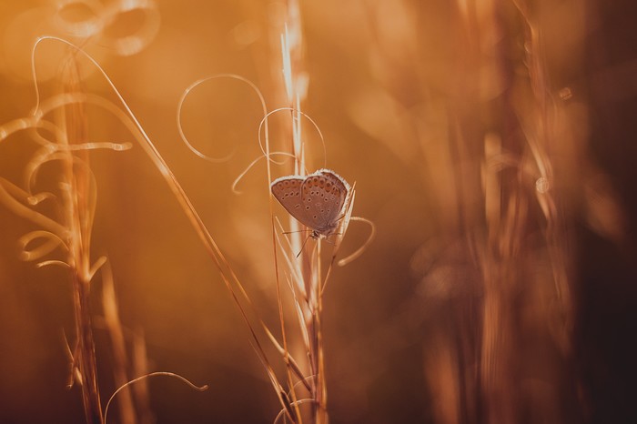 Свободное дыхание