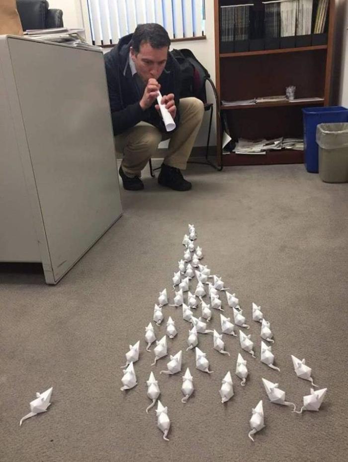 When you get bored at work - Origami, Hamelin Pied Piper, Humor, Work, Nothing to do, Office