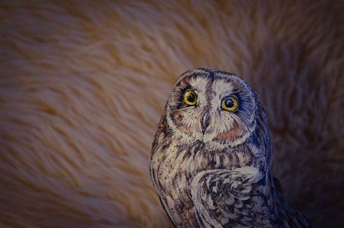 My stone owls #4 - My, Owl, Stone painting, Acrylic, Birds, Mountain Altai, Painting, Swamp owl, Altai Republic